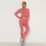 Seamless fitness outfit two piece set .